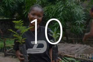 Planter 10 arbres avec Eden Reforestation Projects